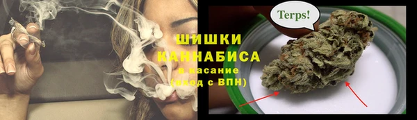 ГАЛЛЮЦИНОГЕННЫЕ ГРИБЫ Краснослободск