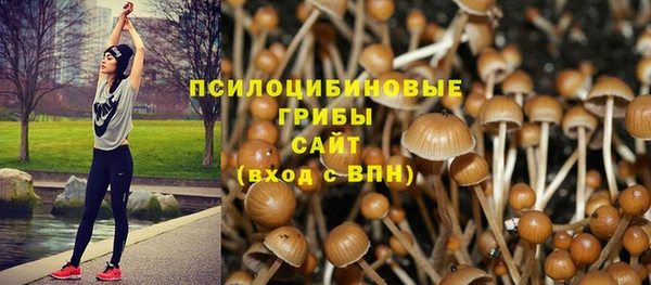спиды Красноперекопск