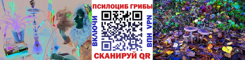 Псилоцибиновые грибы Magic Shrooms  где продают   Можга 