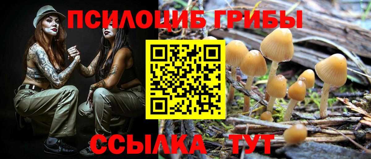 Галлюциногенные грибы Psilocybe  Псилоцибиновые грибы MAGIC MUSHROOMS  Можга  Вход с VPN 